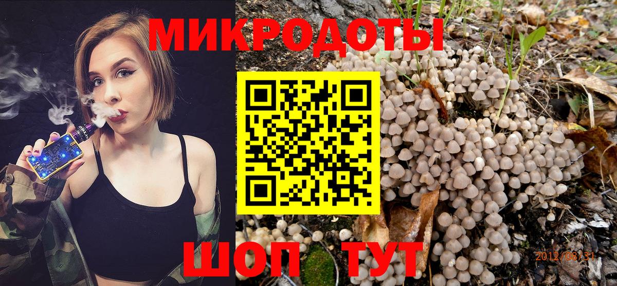 Галлюциногенные грибы прущие грибы  Вход с VPN  Щёлково 