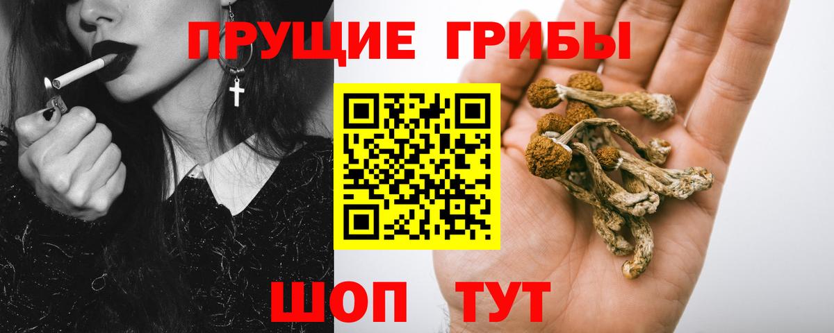 Псилоцибиновые грибы мухоморы Щёлково